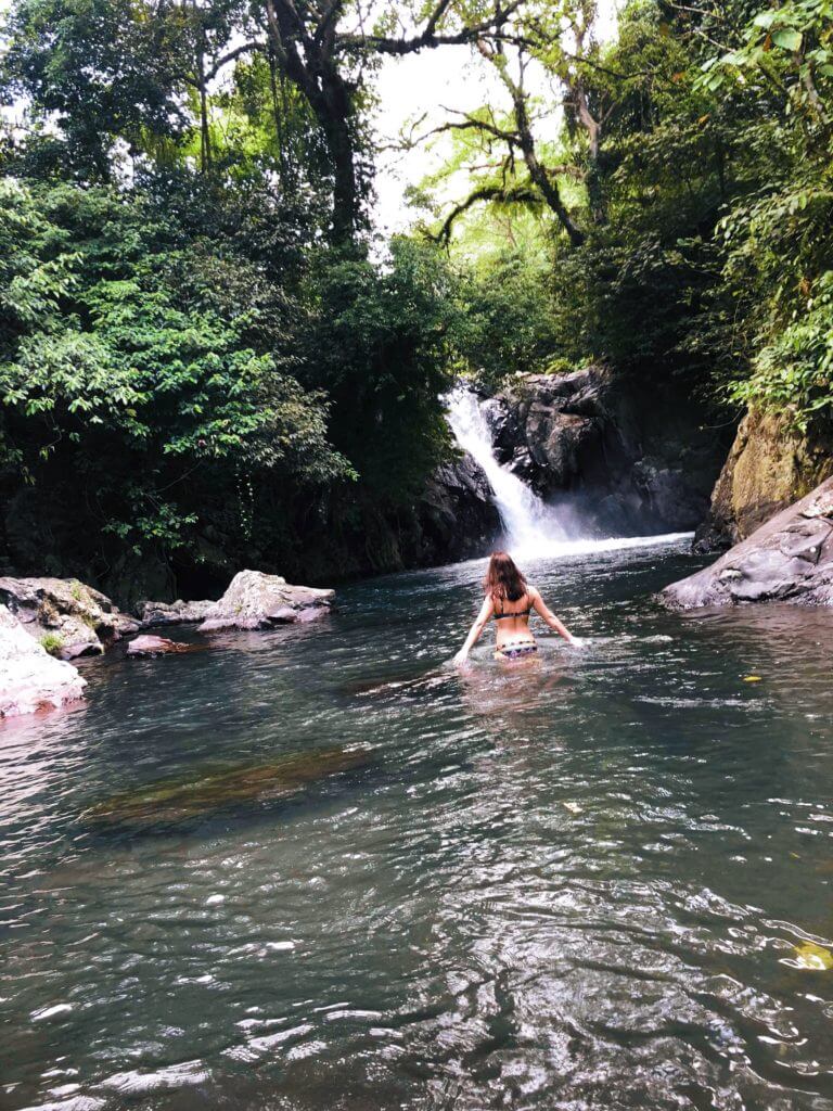 Chasing Waterfalls: A Guide to Your Nearest State Park Paradise